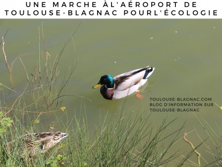 Une marche àl'aéroport de Toulouse-Blagnac pour réclamer moins de vols et plus d'écologie.jpg, oct. 2020